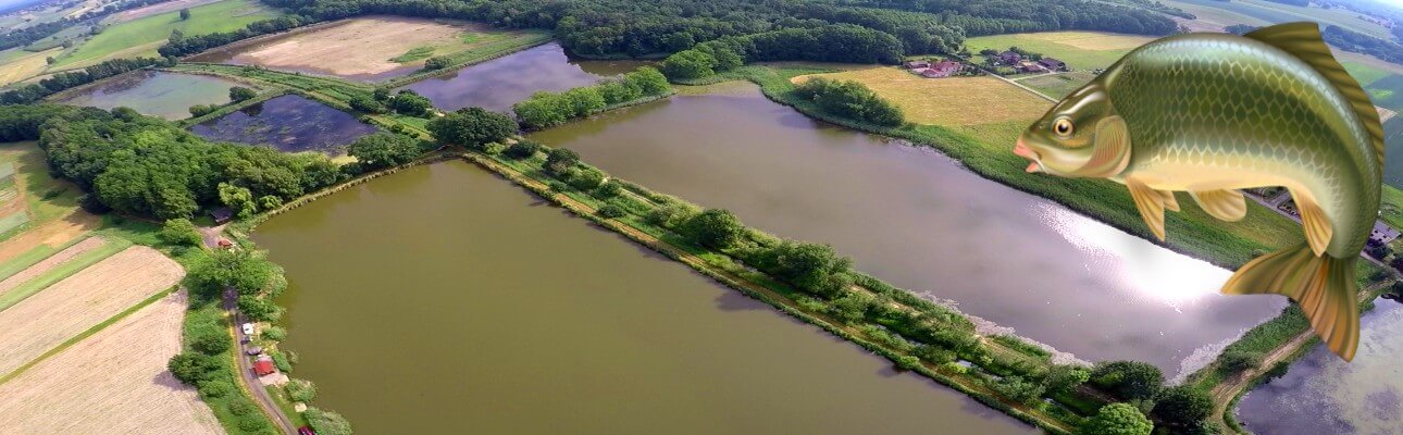 Widok łowisk w Pstrążnej